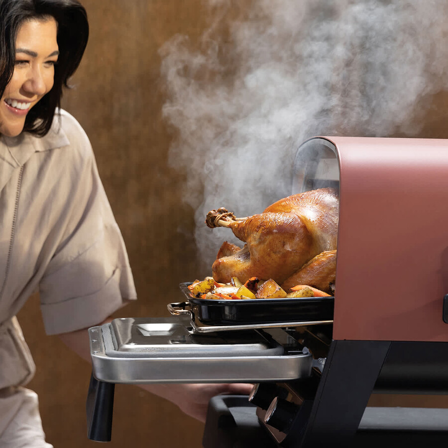 paquete de horno y termómetro para exteriores ninja
