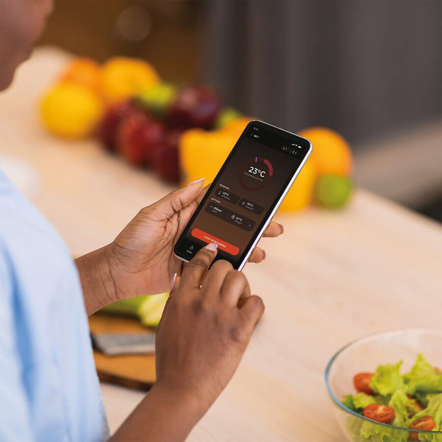 termómetro inalámbrico ninja prochef wp100eu